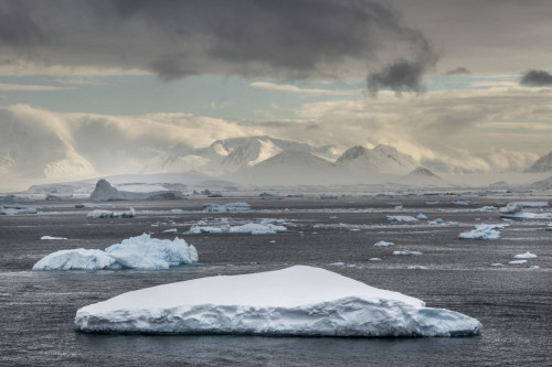 Icebergs in Antarctica's Lemaire Channel; Antarctia Poster Print by Karen Kasmauski (18 x 12)