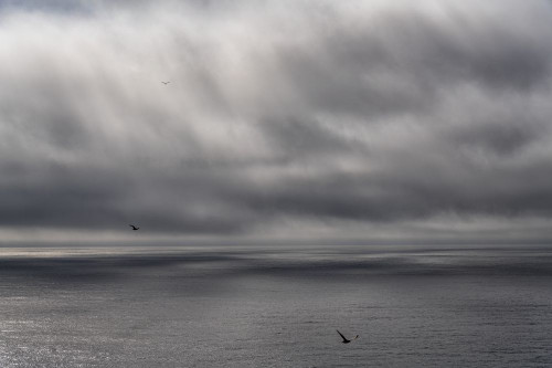 Surreal and peaceful view of seagulls and clouds over the ocean; East Fjords, Iceland Poster Print by Robert Postma (18 x 12)