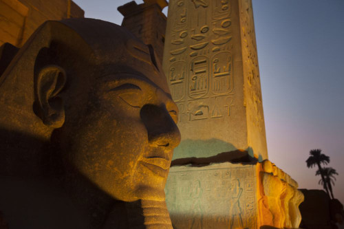 Head of Ramses ll at entrance to Luxor temple; Luxor, Egypt Poster Print by Michael Melford (17 x 11)
