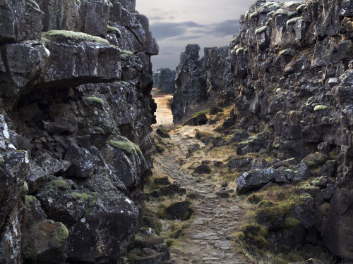 Tectonic plates collide in Pingvellir in Iceland. Poster Print by Loop Images Ltd. (17 x 13)