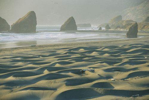 Beach with dunes and seastack rocks near Pistol River.; PISTOL RIVER, OREGON. Poster Print by Skip Brown (17 x 11)