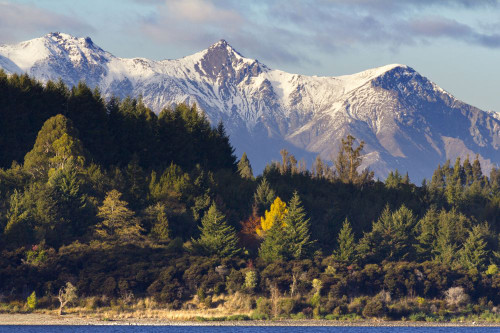 Mountains and autumn forests viewed from Lake Te Anau in the South Island of New Zealand. Poster Print by Loop Images Ltd. (17 x 11)