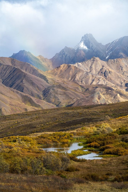 Brilliant rainbow and rugged mountains near Sable Pass in Denali National Park and Preserve; Alaska, United States of America Poster Print by Kenneth Whitten (12 x 19)