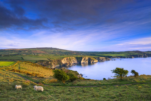 Coastline at Pwllgwaelod. Poster Print by Loop Images Ltd. (18 x 12)