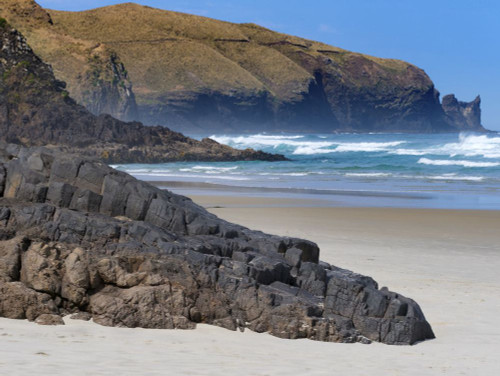 Allans Beach on New Zealand's North Island. Poster Print by Loop Images Ltd. (17 x 12)