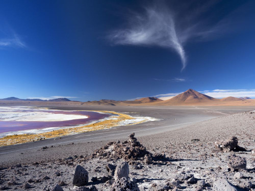 By Laguna Colorada in Bolivia. Poster Print by Loop Images Ltd. (17 x 12)