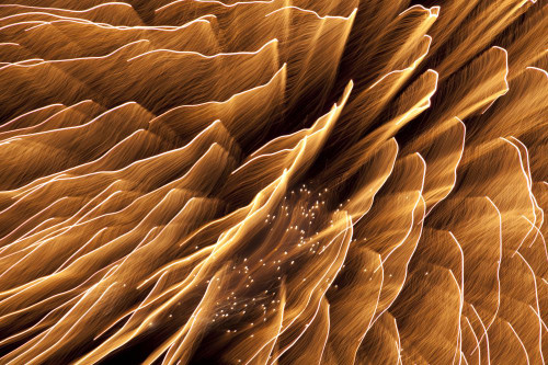 Long exposure of a fireworks display on the Fourth of July; Idaho, United States of America Poster Print by Michael Melford (17 x 11) Long exposure of a fireworks display on the Fourth of July; Idaho, United States of America Poster Print by Michael Melford (17 x 11)