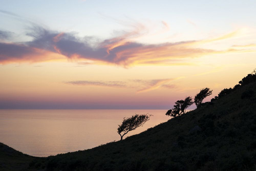 Silhouette of the Valley of the Rocks in the evening sun. Poster Print by Loop Images Ltd. (17 x 11)