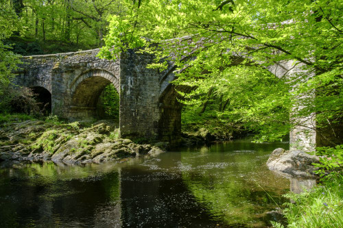 Holne Bridge on the River Dart. Poster Print by Loop Images Ltd. (20 x 13)