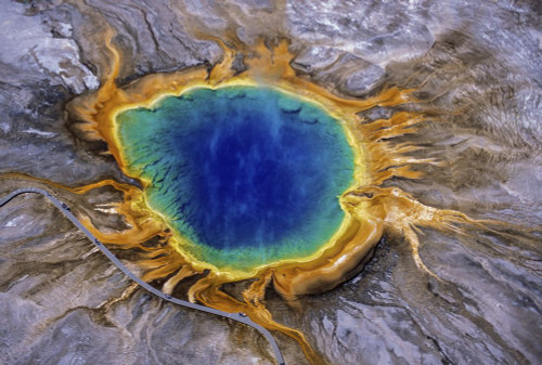 Vibrant colours of the Grand Prismatic Spring in Midway Geyser Basin of Yellowstone National Park; Wyoming, United States of America Poster Print by Tom Murphy (17 x 11)