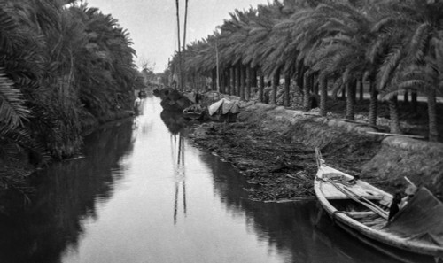 World war one photograph in Iraq (Mesopotamia), British Royal Engineers. Ashar Creek; Basra, Iraq Poster Print by John Short (21 x 12) World war one photograph in Iraq (Mesopotamia), British Royal Engineers. Ashar Creek; Basra, Iraq Poster Print by John Short (21 x 12)