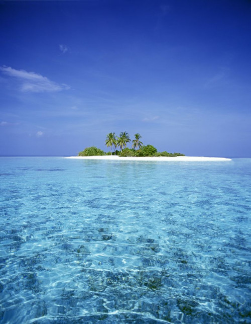 Small island in the Maldives with palm trees and white sand; Maldives Poster Print by Craig Tuttle (13 x 17)