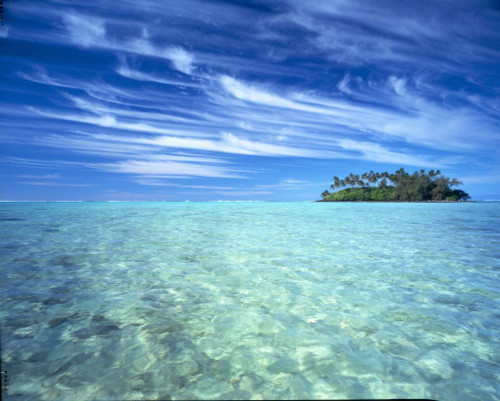 Small island covered in palm trees in the Maldives; Maldives Poster Print by Craig Tuttle (17 x 13)