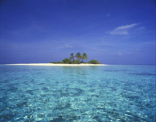 Small island in the Maldives with palm trees and white sand; Maldives Poster Print by Craig Tuttle (17 x 13)