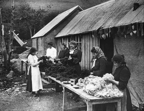 Women sorting wool in victorian times Poster Print by John Short (18 x 14)