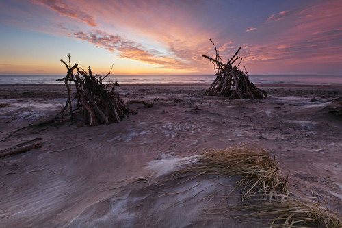 Driftwood hides at sunrise at St Cyrus. Poster Print by Loop Images Ltd. (17 x 11)