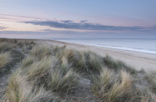 A view of the dunes and beach at Winterton on Sea. Poster Print by Loop Images Ltd. (20 x 13)