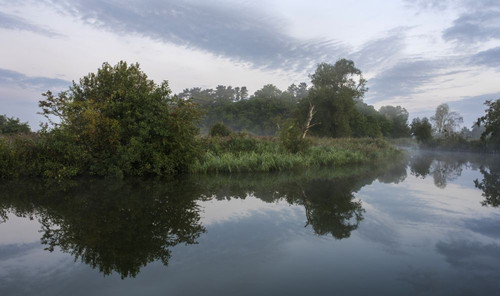 A misty morning beside the River Ant at How Hill. Poster Print by Loop Images Ltd. (20 x 11)
