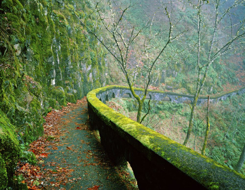 Trail winding past cliffs in the Columbia River Gorge, Oregon, USA; Oregon, United States of America Poster Print by Craig Tuttle (17 x 13)