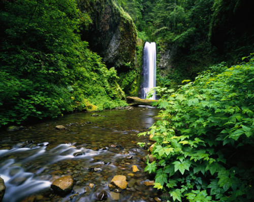 Upper Multnomah Falls in Columbia River Gorge; Oregon, United States of America Poster Print by Craig Tuttle (17 x 13)