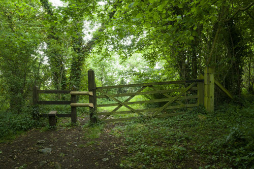 A gate and stile on the edge of Ebbor Wood in spring at the Ebbor Gorge National Nature Reserve in the Mendip Hills. Poster Print by Loop Images Ltd. (20 x 13)