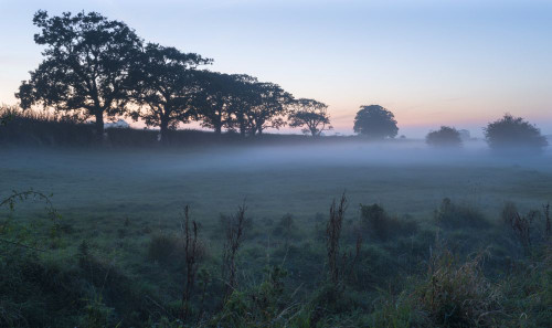 A misty evening in the countryside near Binham in Norfolk. Poster Print by Loop Images Ltd. (19 x 11)