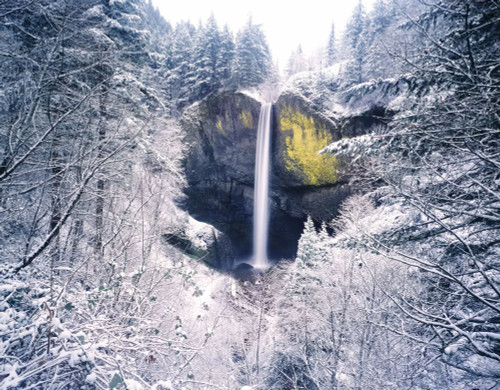 Snow Adds Beauty To Latourell Falls, Columbia River Gorge National Scenic Area; Oregon, United States Of America Poster Print by Craig Tuttle (17 x 13)