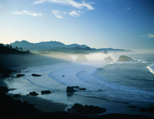 Early morning fog hovering over Ecola State Park looking south to Haystack Rock and Cannon Beach; Oregon, United States of America Poster Print by Craig Tuttle (17 x 13)