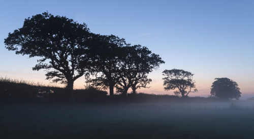 A misty evening in the countryside near Binham in Norfolk. Poster Print by Loop Images Ltd. (19 x 10)