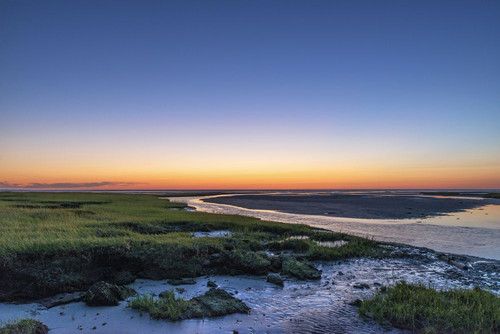 Salt marsh tidal pools at low tide. Poster Print by Loop Images Ltd. (17 x 11)
