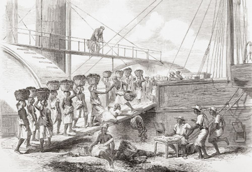 Coaling a Royal Mail steam packet at Kingston, Jamaica in the 19th century.  From The Illustrated London News, published 1865. Poster Print by Ken Welsh (17 x 11)