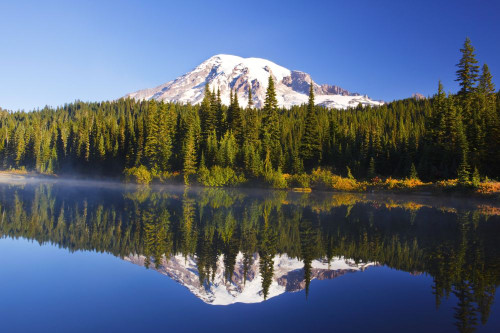 Mount Rainier and forest reflected in a tranquil lake in Mount Rainier National Park; Washington, United States of America Poster Print by Craig Tuttle (17 x 11)