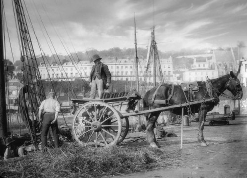 Horse and cart on Jetty at Torquay Poster Print by John Short (17 x 12)