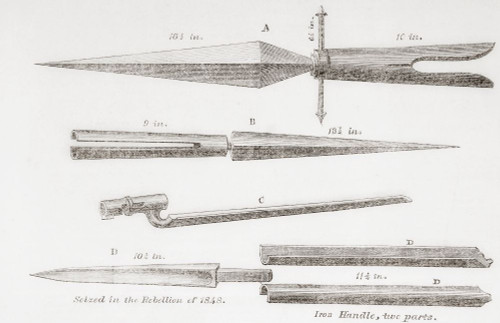 Fenian weapons, 19th century.  From The Illustrated London News, published 1865. Poster Print by Ken Welsh (17 x 11)