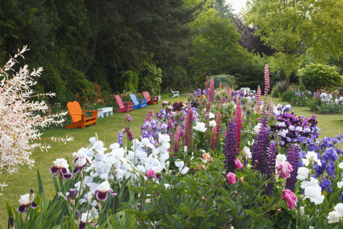 Variety of garden flowers in bloom in a colourful array in a garden area with seating in the Willamette Valley; Salem, Oregon, United States of America Poster Print by Craig Tuttle (17 x 11) Variety of garden flowers in bloom in a colourful array in a garden area with seating in the Willamette Valley; Salem, Oregon, United States of America Poster Print by Craig Tuttle (17 x 11)
