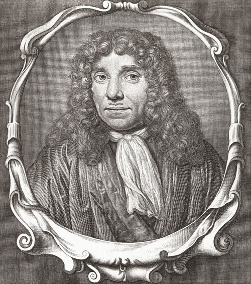 Antonie van Leeuwenhoek, 1632-1723.  Dutch scientist. Poster Print by Ken Welsh (13 x 15)