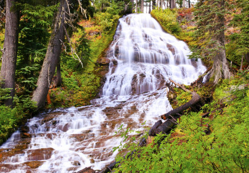 Autumn colours at Umbrella Falls in Mount Hood National Forest, Oregon, USA; Oregon, United States of America Poster Print by Craig Tuttle (17 x 12)