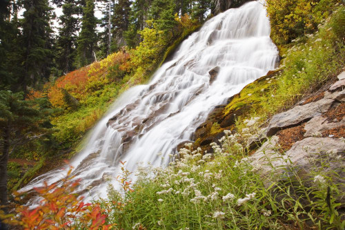 Autumn colours at Umbrella Falls in Mount Hood National Forest, Oregon, USA; Oregon, United States of America Poster Print by Craig Tuttle (17 x 11)