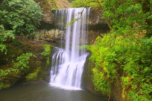 Lower south falls in Silver Falls State Park on the Oregon Trail; Oregon, United States of America Poster Print by Craig Tuttle (17 x 11)