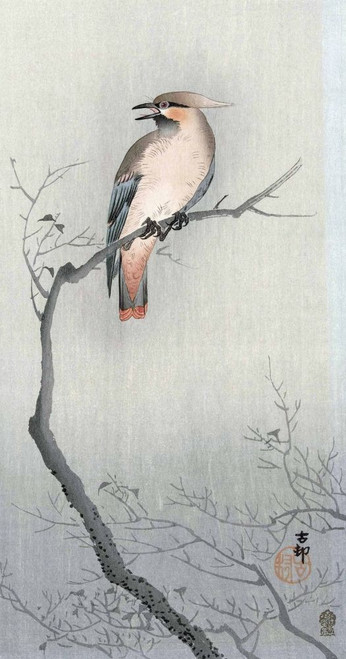 Bohemian waxwing (Bombycilla garrulus), by Japanese artist Ohara Koson, 1877 - 1945.  Ohara Koson was part of the shin-hanga, or new prints movement. Poster Print by Ken Welsh (11 x 21)