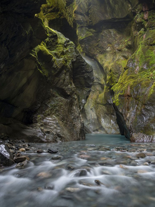Forest creek in Mount Aspiring National Park.; Haast, South Island, New Zealand Poster Print by Michael Melford (12 x 16)