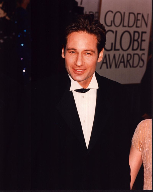 David Duchovny In Suit At Golden Globes Photo Print