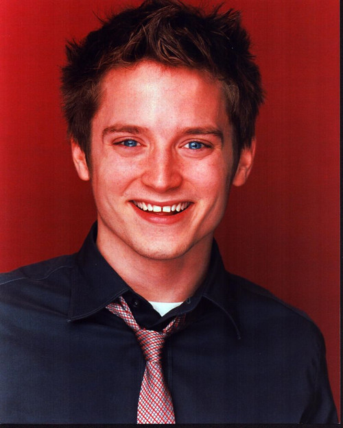 Elijah Wood Headshot In Gray Shirt And Tie Red Background Photo Print (8 x 10)
