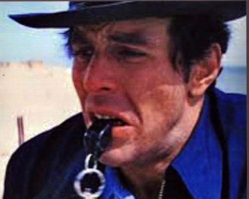 Jeffrey Kramer Blowing Whistle In Jaws Photo Print