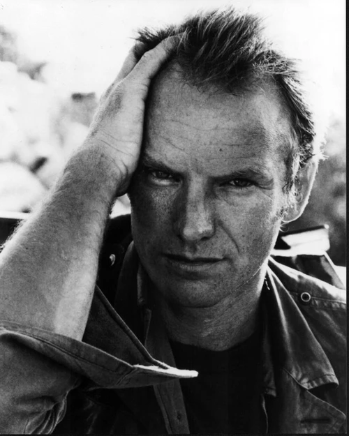 Sting With Hand On Head Black And White Photo Print