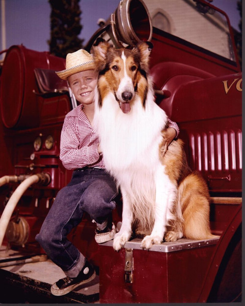 Jon Provost And Lassie On Truck In Lassie Photo Print
