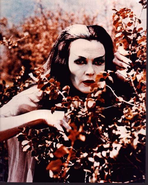 Yvonne De Carlo Looking Through Bush In The Munsters Photo Print (8 x 10)