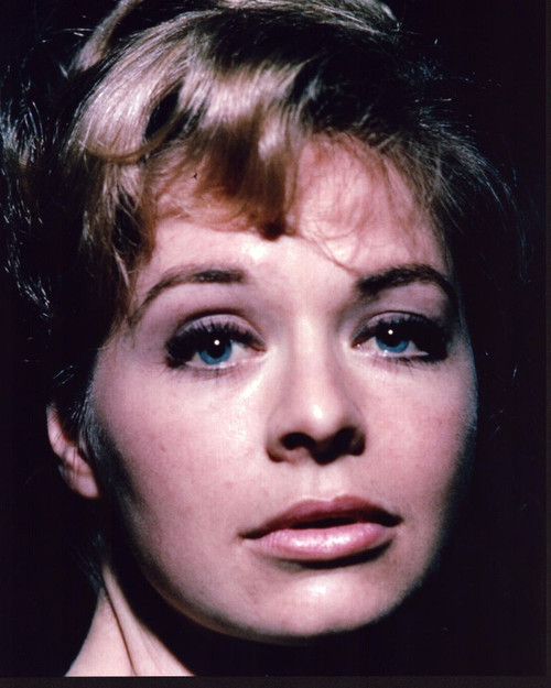 Susannah York Close Up Photo Print