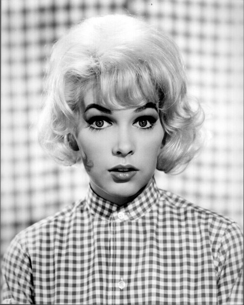Stella Stevens Headshot In Checkered Shirt Black And White Photo Print (8 x 10)