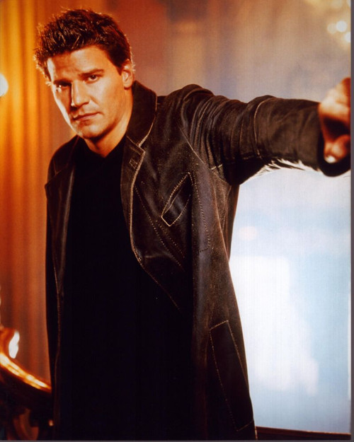 David Boreanaz With Arm Up In Brown Leather Jacket Photo Print (8 x 10)